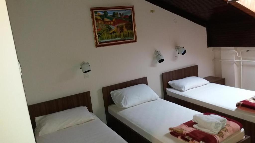 Restoran Sa Prenocistem Zitiste Hotell Eksteriør bilde